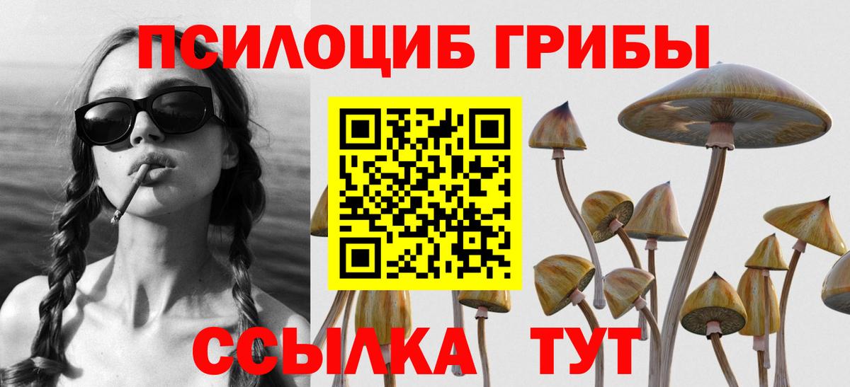 Псилоцибиновые грибы мухоморы  Вход с VPN  Белово  купить наркоту  Галлюциногенные грибы Psilocybe 