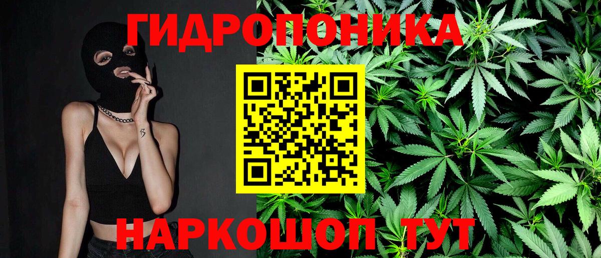 Конопля SATIVA & INDICA  Вход с VPN  Белово  Конопля Ganja 